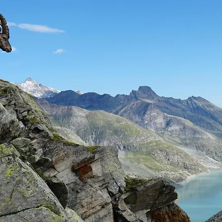 Alpenblick Διαμέρισμα *